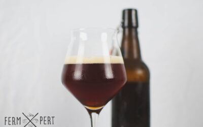 Beer from a Brewkit