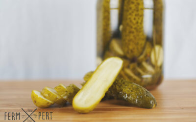 Vinegar Pickled Gherkins